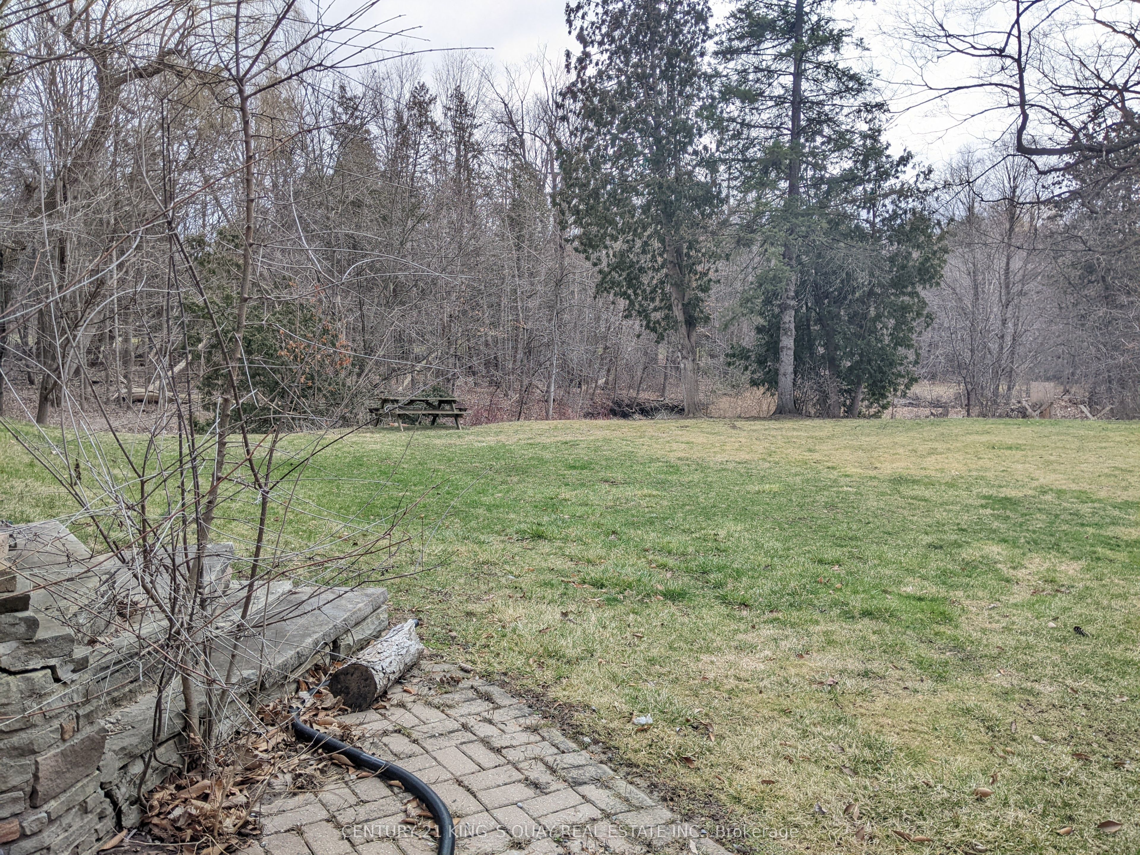 MLS #N12387234 image #4