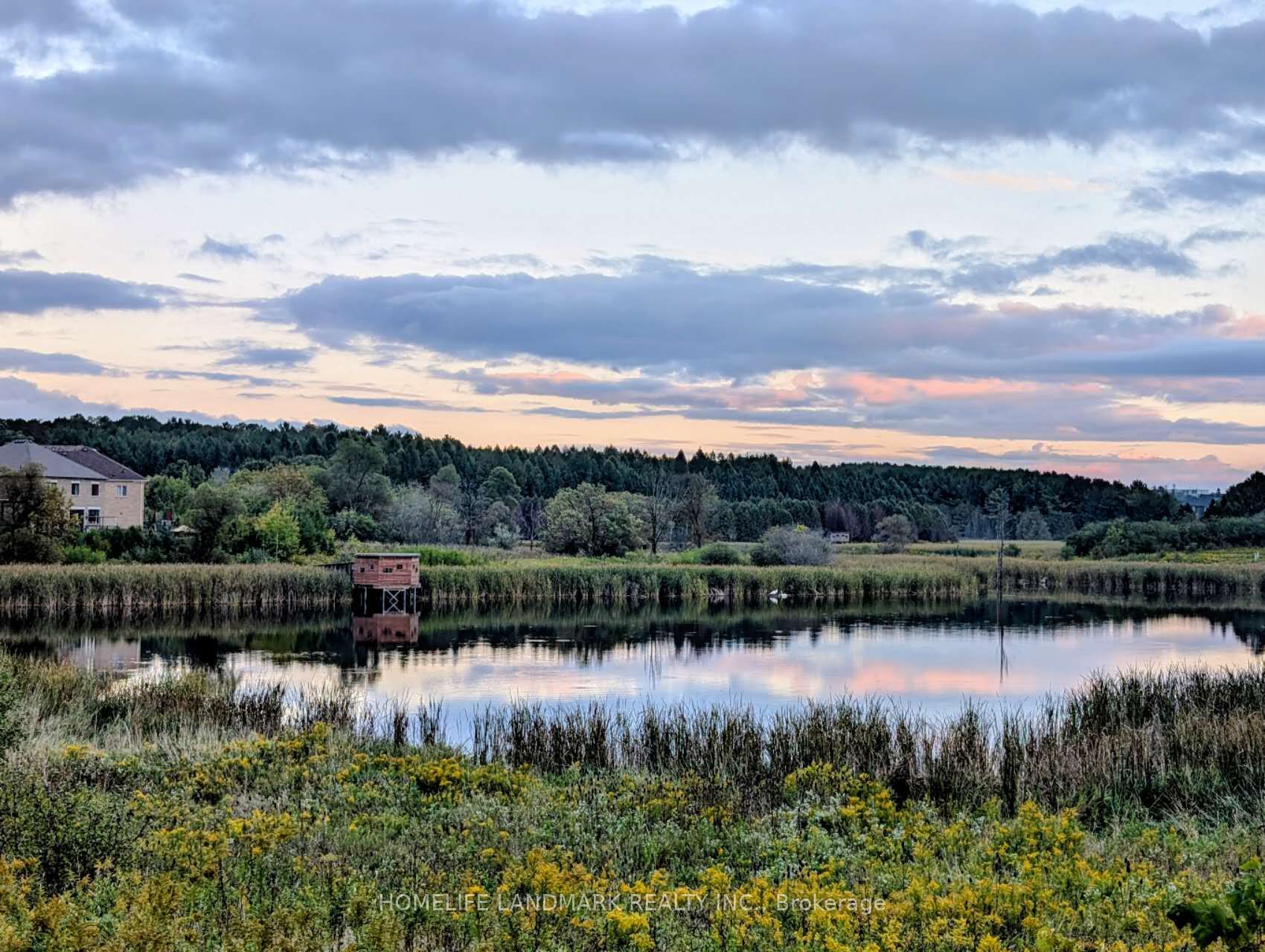 MLS #N12445345 image #5