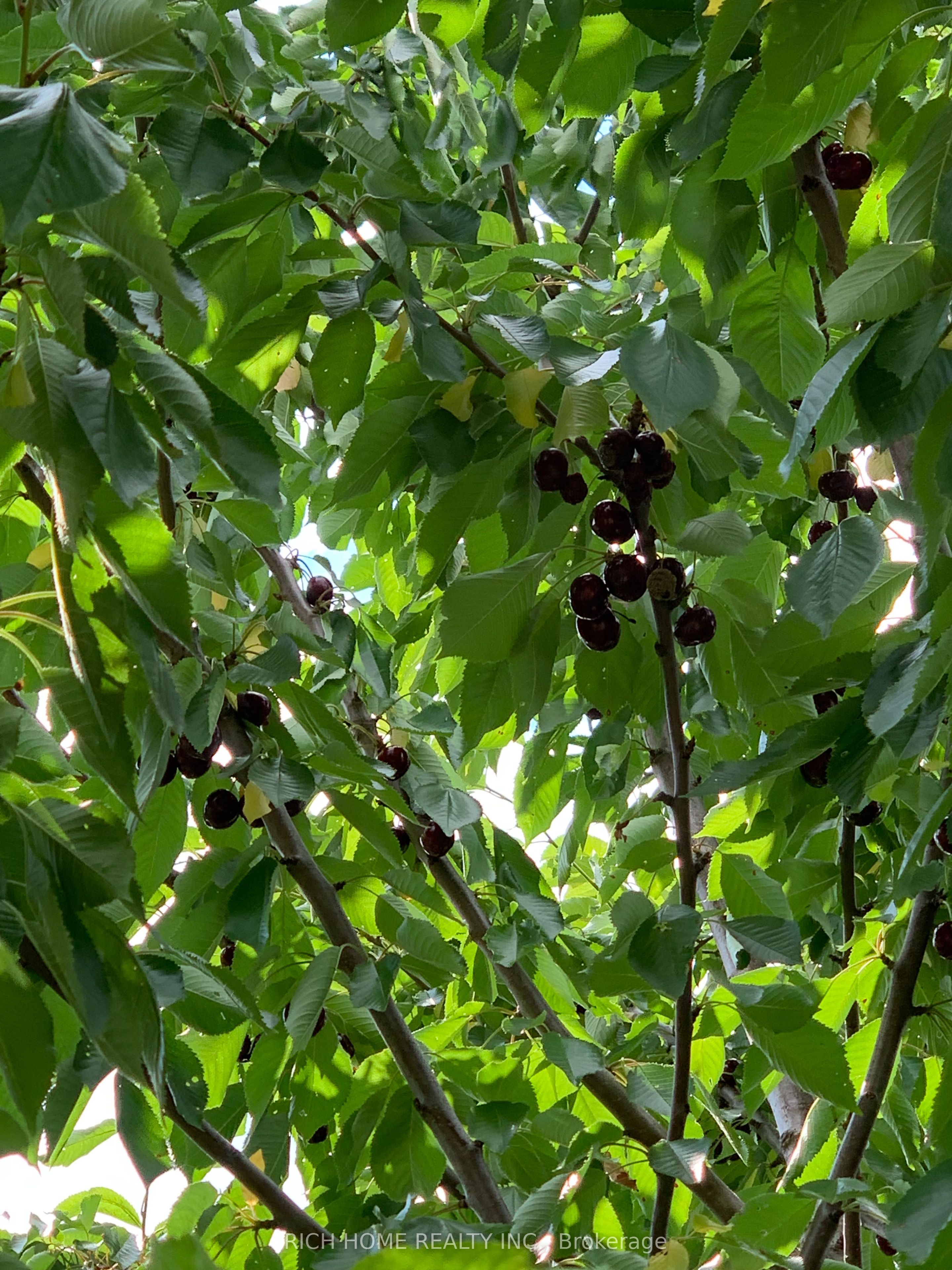 MLS #N12481649 image #4