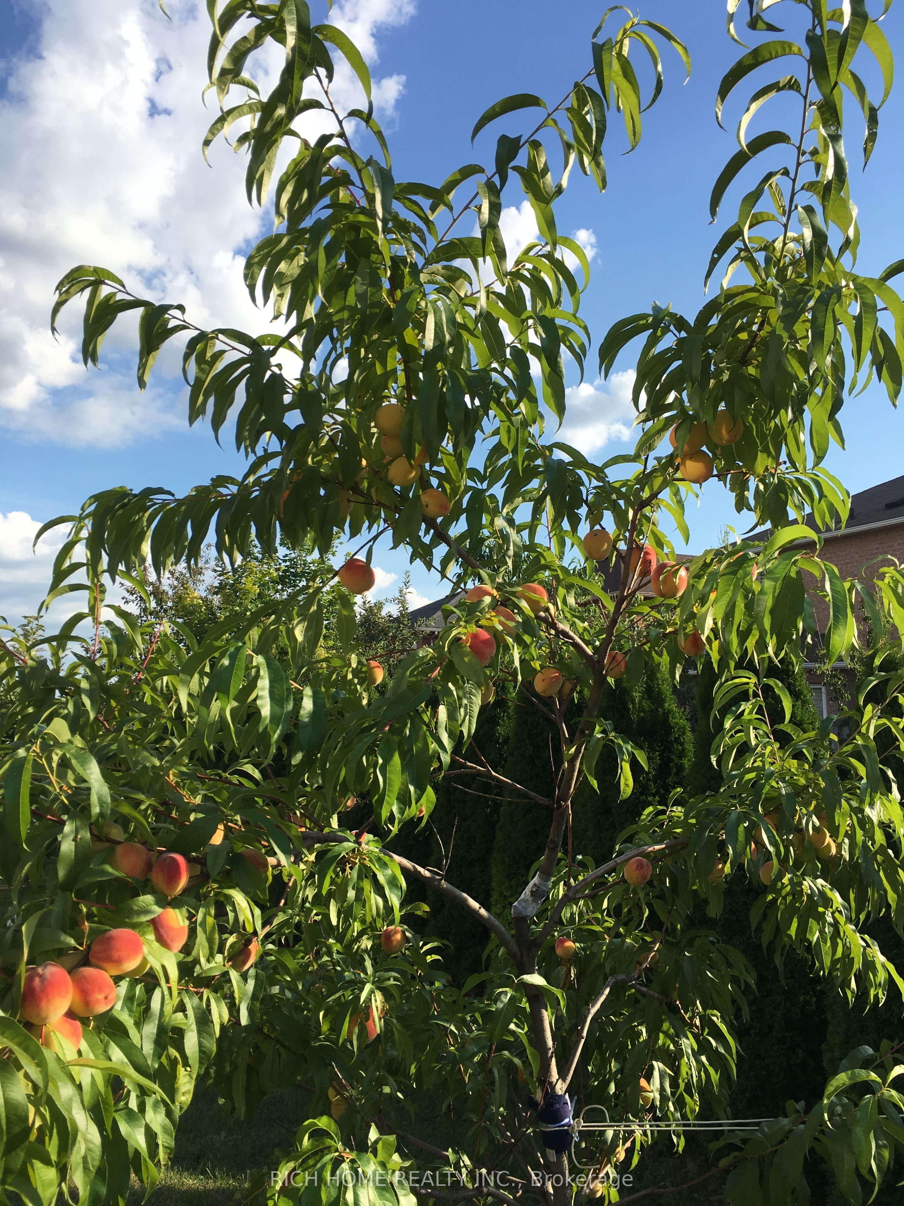 MLS #N12481649 image #5