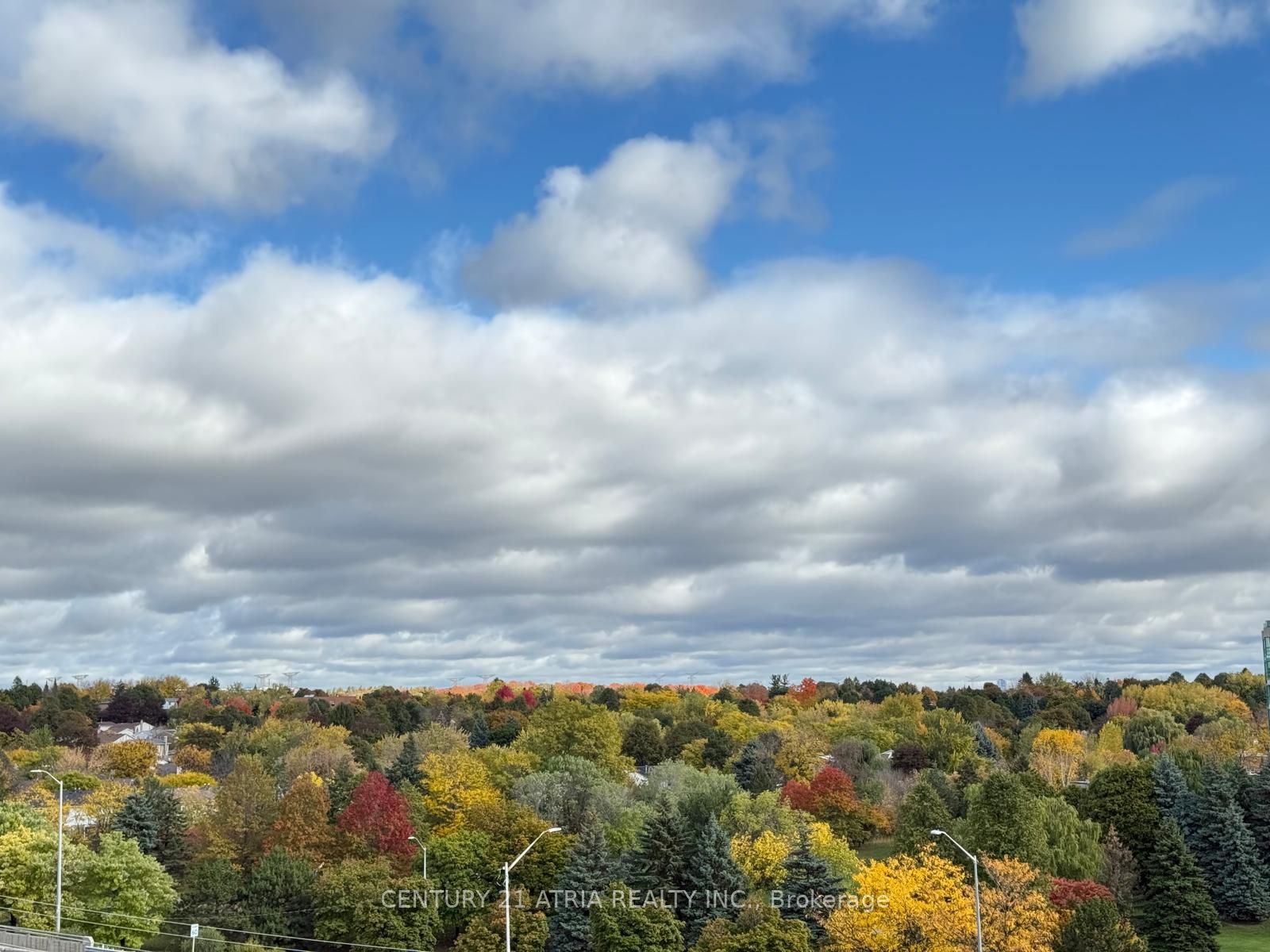 MLS #N12483781 image #28