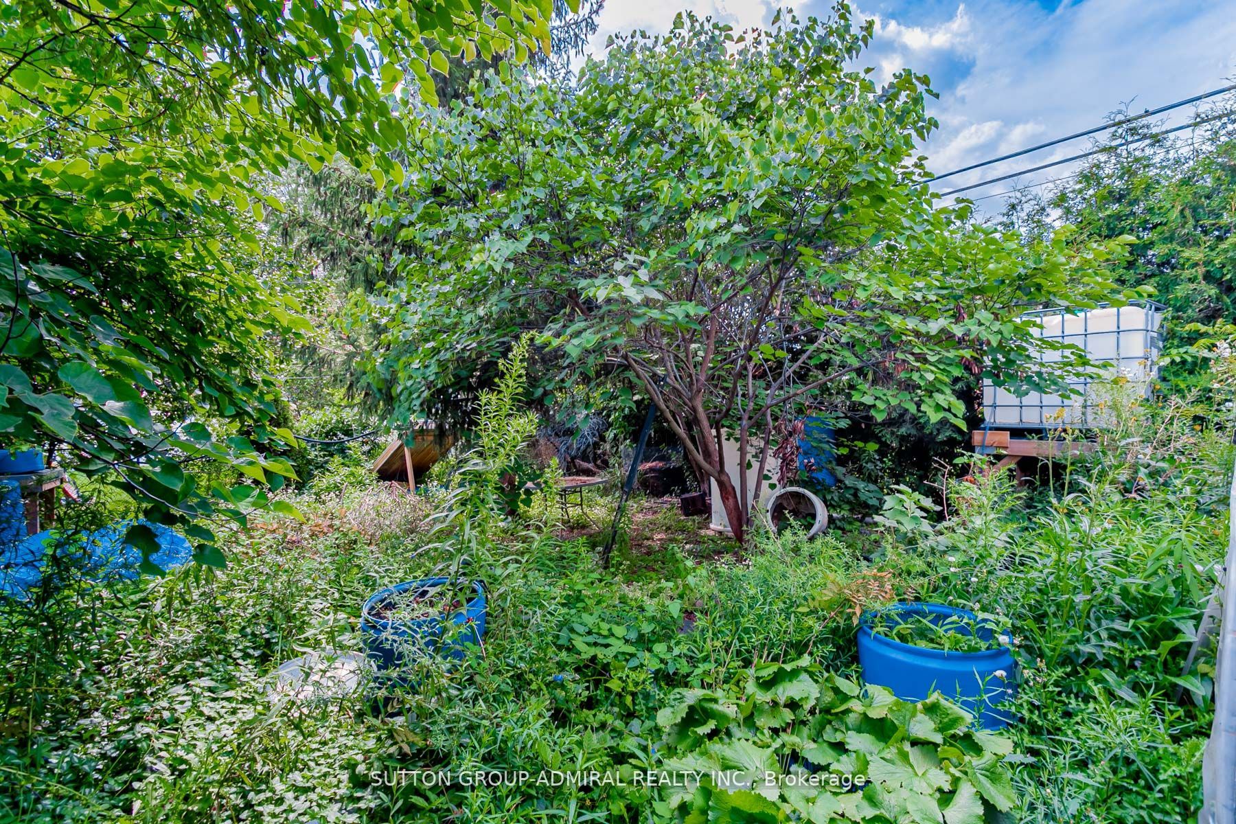 MLS #W12343785 image #17