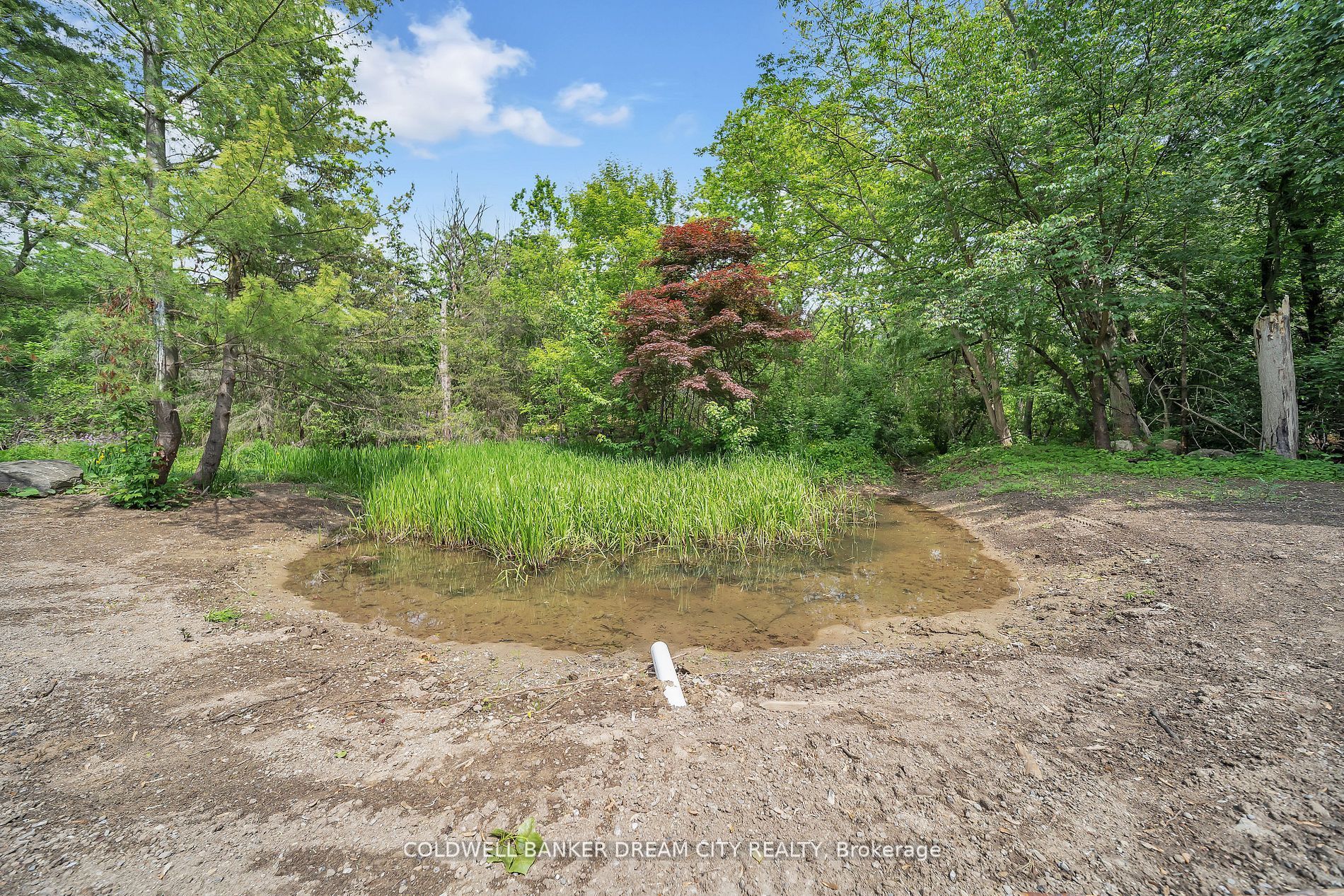 MLS #W12375307 image #16