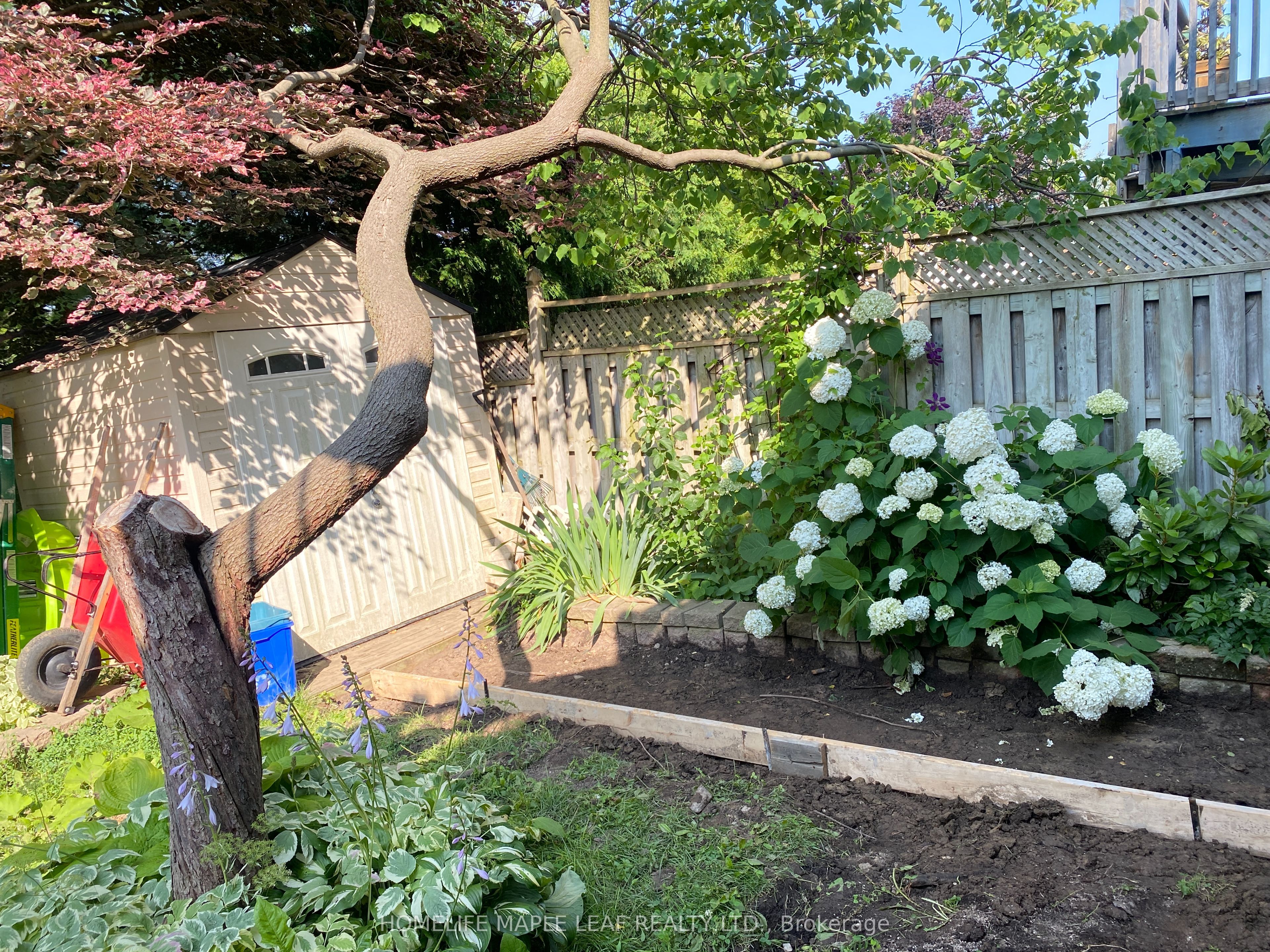 MLS #W12377069 image #15