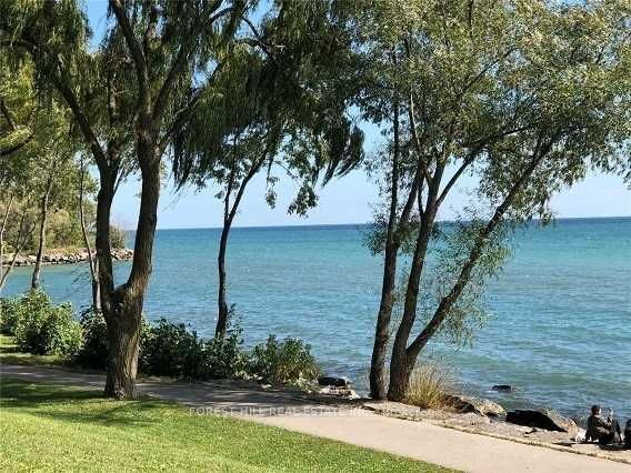 MLS #W12384928 image #11