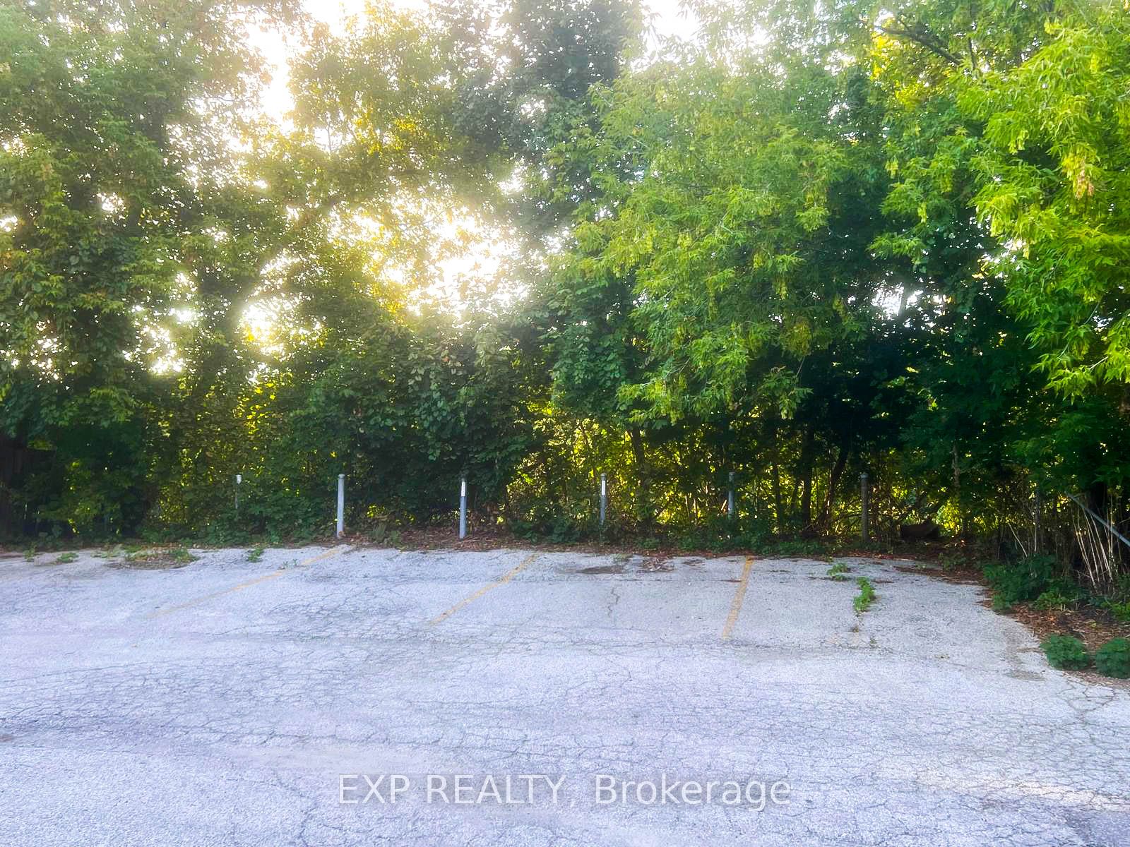 MLS #W12391121 image #19