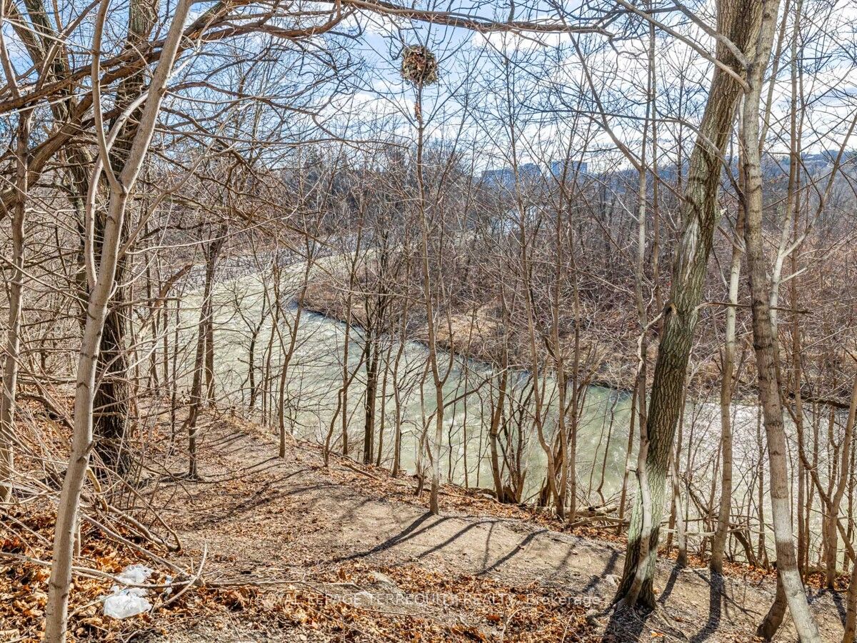 MLS #W12391220 image #36