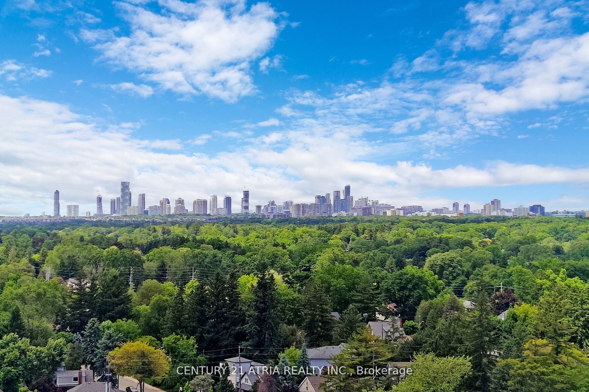 MLS #W12392020 image #34