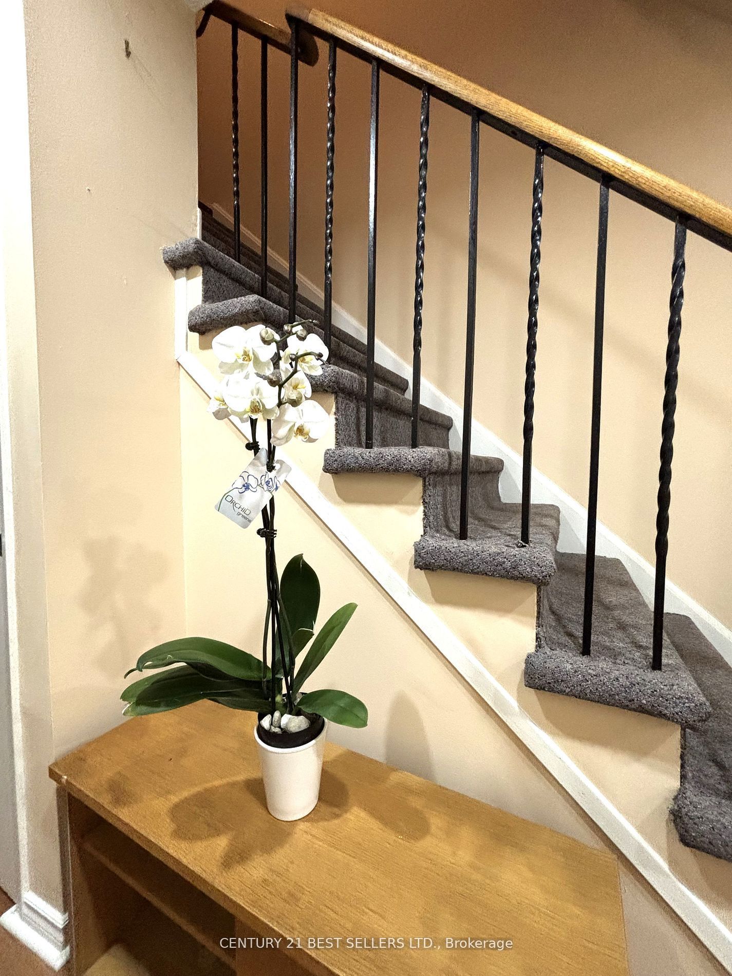 MLS #W12392240 image #6