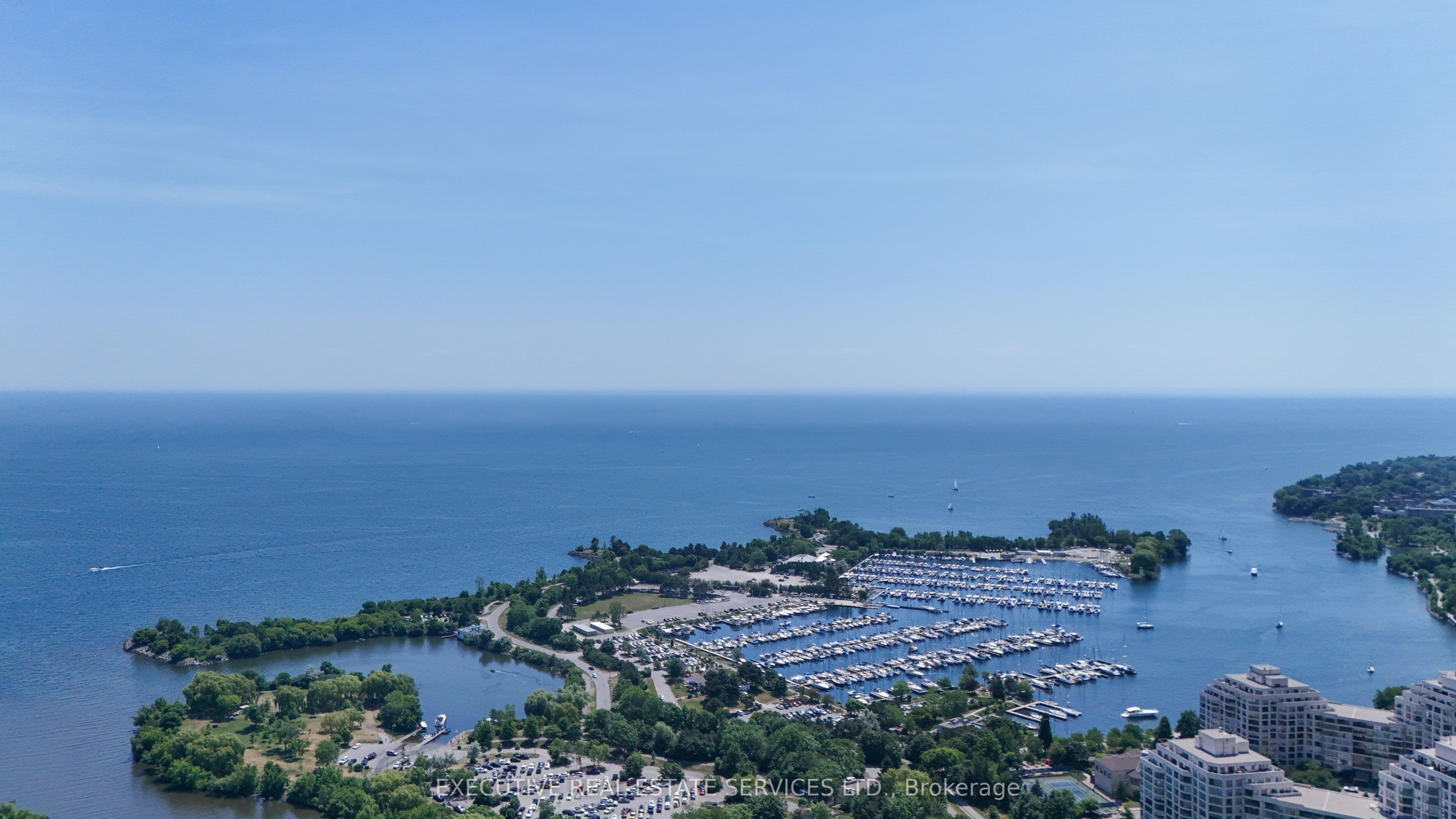 MLS #W12396069 image #7