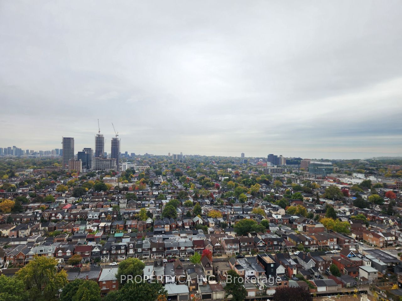 MLS #W12473231 image #14