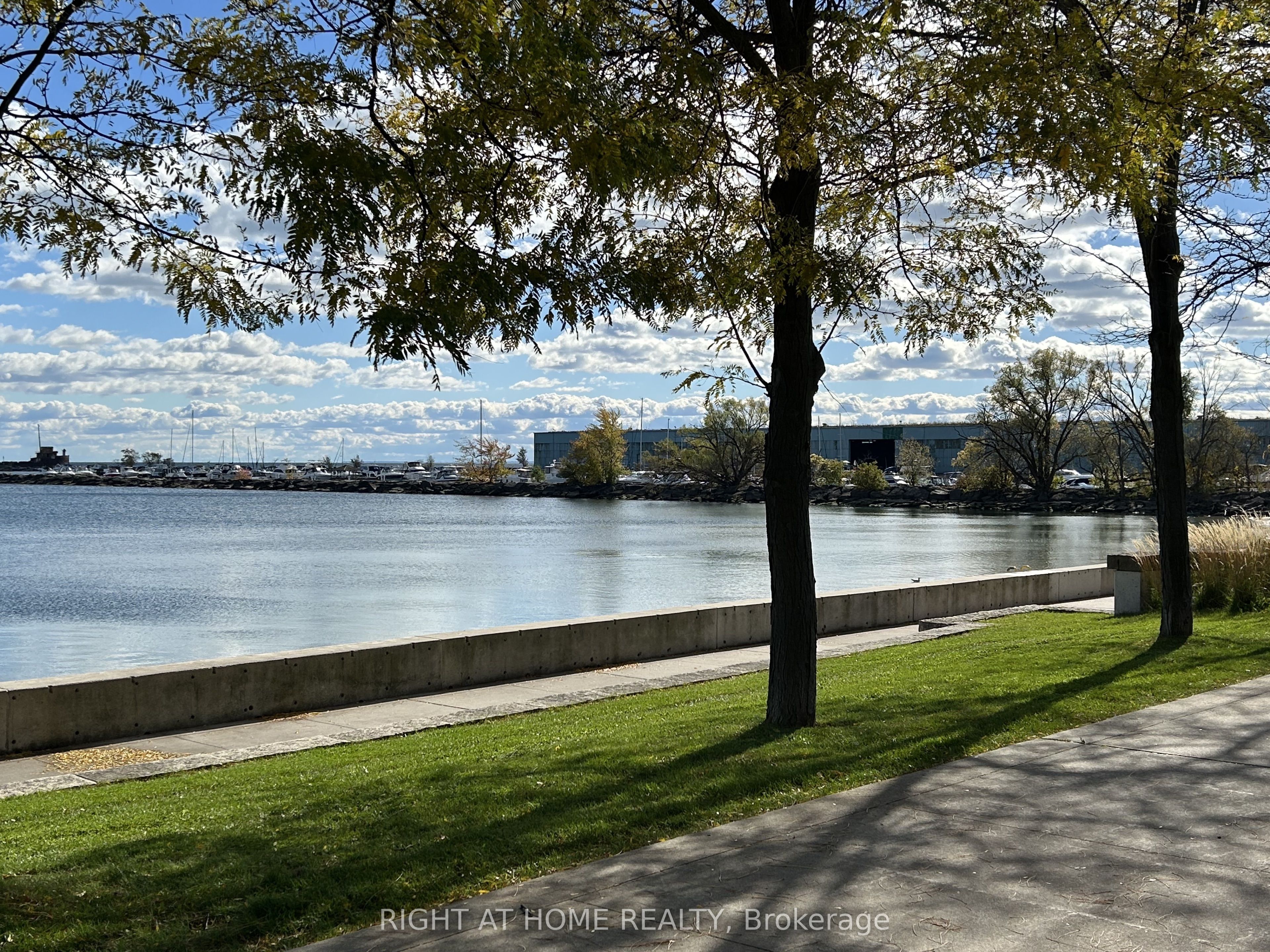 MLS #W12477353 image #6