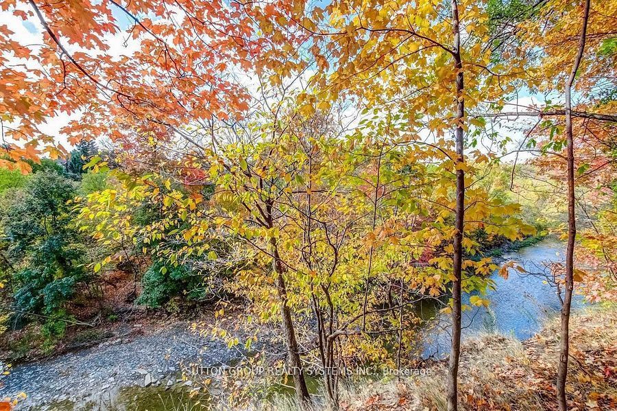 MLS #W12483223 image #12