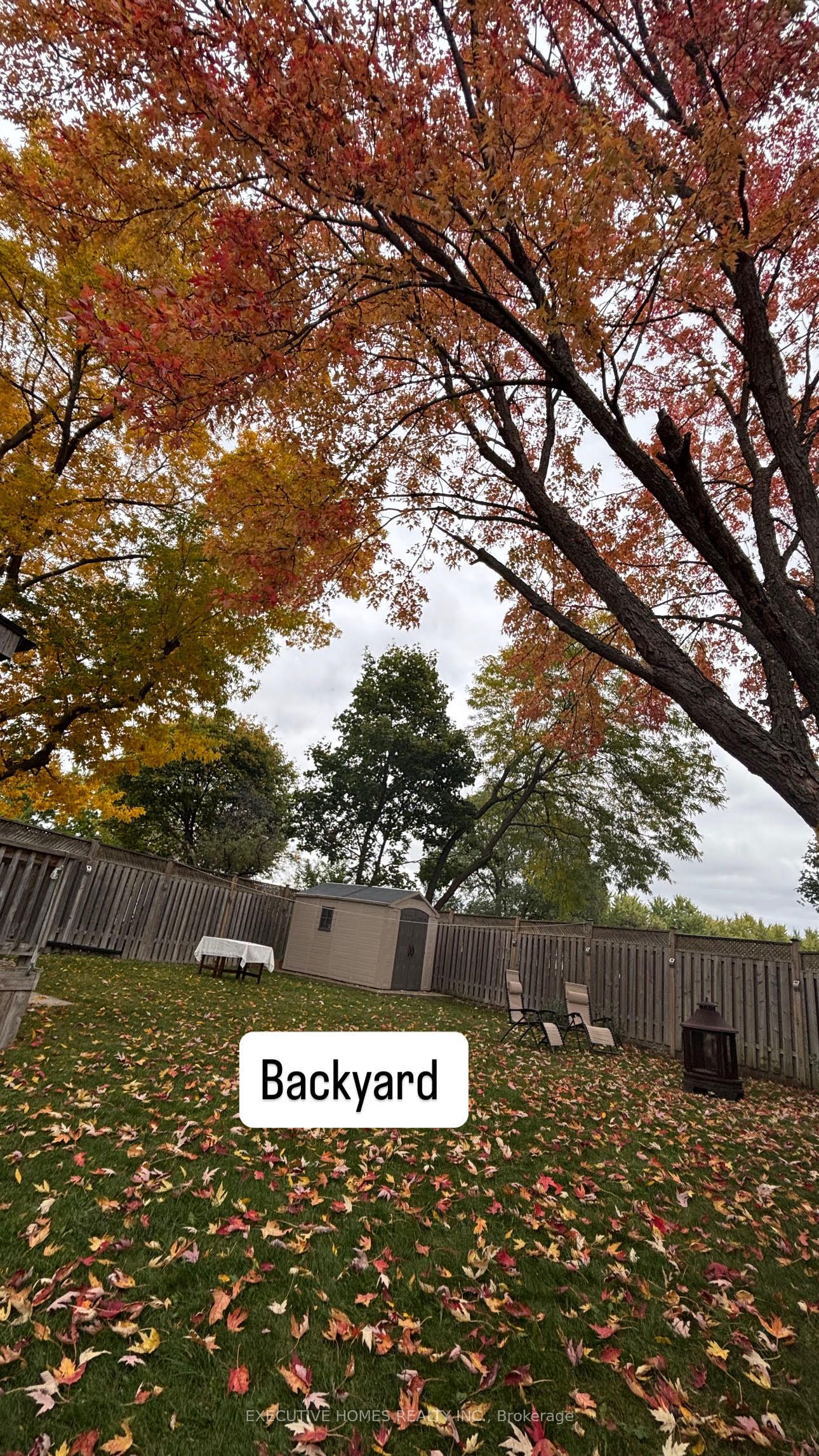 MLS #W12484639 image #14