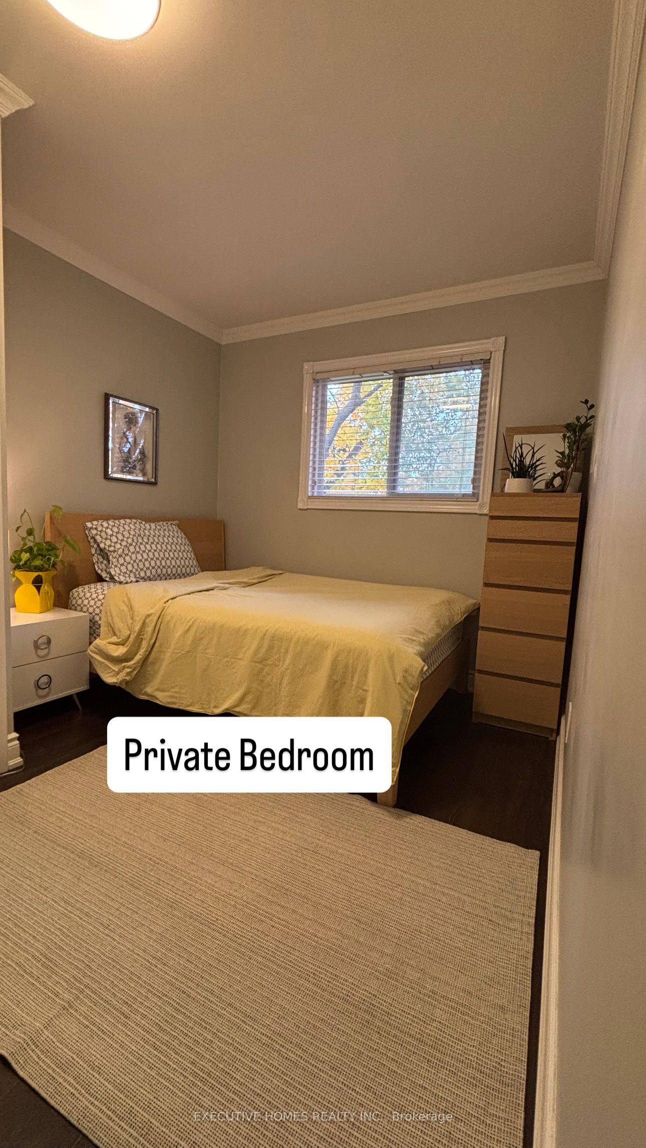 MLS #W12484639 image #3