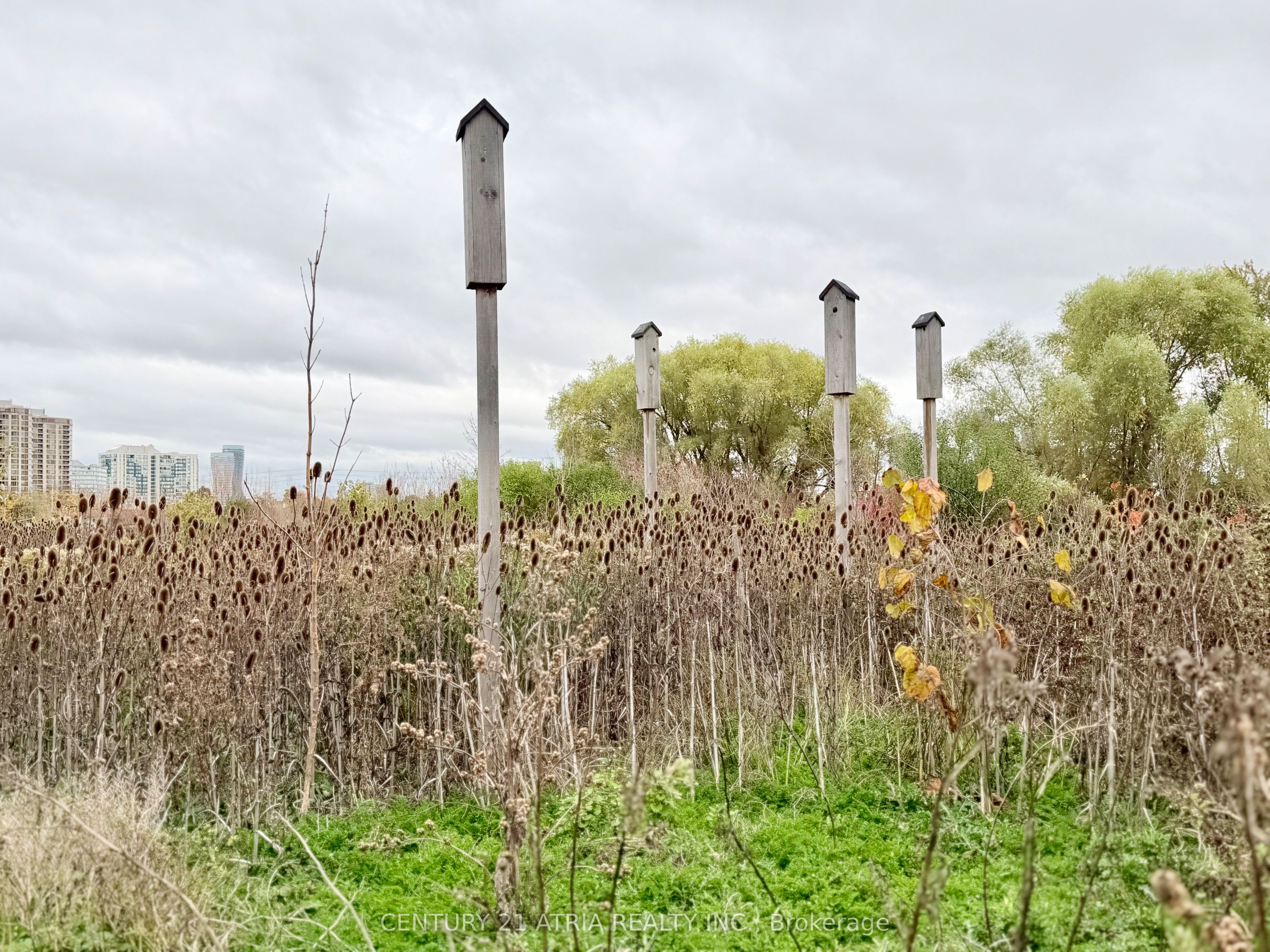 MLS #W12484900 image #40